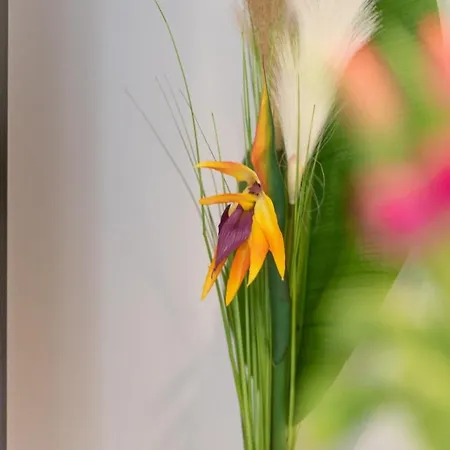 Bellezza Appartement