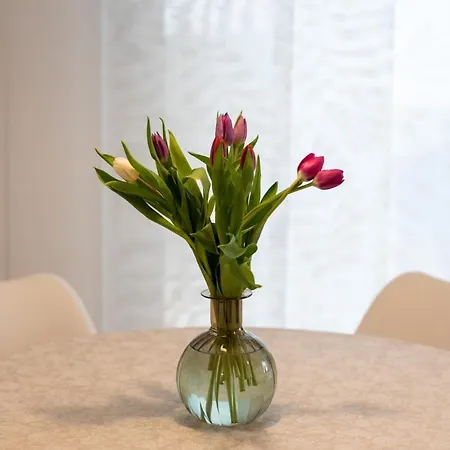 Apartment Bellezza Trogir