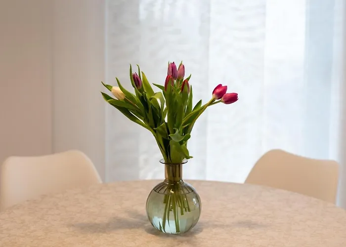 Apartmán Bellezza Trogir